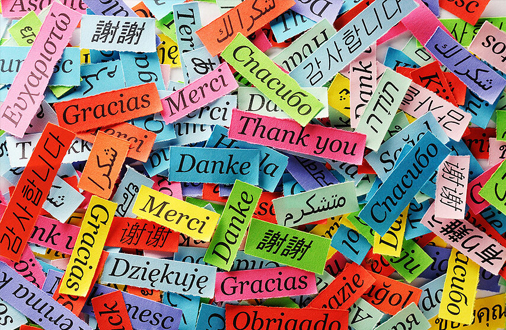 Eduline Open Online Eğitim